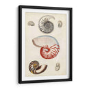 Notas Del Campo De La Orilla Del Mar I - Naomi McCavitt | Cuadro decorativo de Canvas Lab
