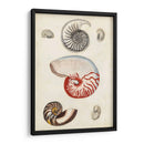 Notas Del Campo De La Orilla Del Mar I - Naomi McCavitt | Cuadro decorativo de Canvas Lab