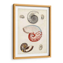 Notas Del Campo De La Orilla Del Mar I - Naomi McCavitt | Cuadro decorativo de Canvas Lab