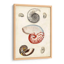 Notas Del Campo De La Orilla Del Mar I - Naomi McCavitt | Cuadro decorativo de Canvas Lab