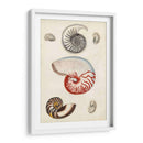 Notas Del Campo De La Orilla Del Mar I - Naomi McCavitt | Cuadro decorativo de Canvas Lab