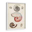 Notas Del Campo De La Orilla Del Mar I - Naomi McCavitt | Cuadro decorativo de Canvas Lab