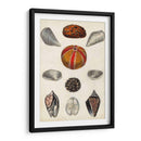 Notas De Campo De La Orilla Del Mar Ii - Naomi McCavitt | Cuadro decorativo de Canvas Lab