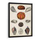 Notas De Campo De La Orilla Del Mar Ii - Naomi McCavitt | Cuadro decorativo de Canvas Lab