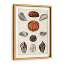 Notas De Campo De La Orilla Del Mar Ii - Naomi McCavitt | Cuadro decorativo de Canvas Lab