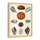 Notas De Campo De La Orilla Del Mar Ii - Naomi McCavitt | Cuadro decorativo de Canvas Lab