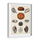 Notas De Campo De La Orilla Del Mar Ii - Naomi McCavitt | Cuadro decorativo de Canvas Lab
