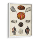Notas De Campo De La Orilla Del Mar Ii - Naomi McCavitt | Cuadro decorativo de Canvas Lab