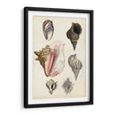 Notas De Campo De La Orilla Del Mar Iii - Naomi McCavitt | Cuadro decorativo de Canvas Lab