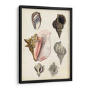 Notas De Campo De La Orilla Del Mar Iii - Naomi McCavitt | Cuadro decorativo de Canvas Lab