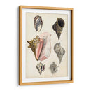 Notas De Campo De La Orilla Del Mar Iii - Naomi McCavitt | Cuadro decorativo de Canvas Lab