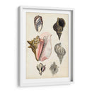 Notas De Campo De La Orilla Del Mar Iii - Naomi McCavitt | Cuadro decorativo de Canvas Lab