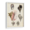 Notas De Campo De La Orilla Del Mar Iii - Naomi McCavitt | Cuadro decorativo de Canvas Lab