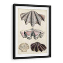 Notas De Campo De La Orilla Del Mar Iv - Naomi McCavitt | Cuadro decorativo de Canvas Lab
