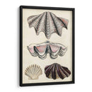 Notas De Campo De La Orilla Del Mar Iv - Naomi McCavitt | Cuadro decorativo de Canvas Lab