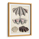 Notas De Campo De La Orilla Del Mar Iv - Naomi McCavitt | Cuadro decorativo de Canvas Lab