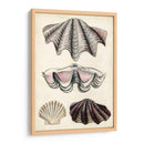 Notas De Campo De La Orilla Del Mar Iv - Naomi McCavitt | Cuadro decorativo de Canvas Lab