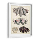 Notas De Campo De La Orilla Del Mar Iv - Naomi McCavitt | Cuadro decorativo de Canvas Lab