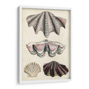 Notas De Campo De La Orilla Del Mar Iv - Naomi McCavitt | Cuadro decorativo de Canvas Lab