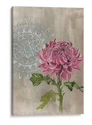 Bohemio Botánica I - Naomi McCavitt | Cuadro decorativo de Canvas Lab