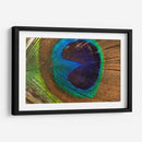 La pluma del rey | Cuadro decorativo de Canvas Lab