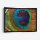 La pluma del rey | Cuadro decorativo de Canvas Lab