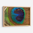 La pluma del rey | Cuadro decorativo de Canvas Lab