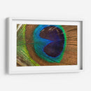 La pluma del rey | Cuadro decorativo de Canvas Lab