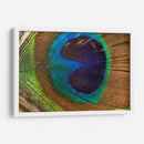 La pluma del rey | Cuadro decorativo de Canvas Lab