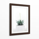Plantita | Cuadro decorativo de Canvas Lab