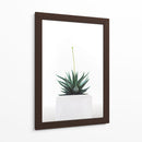 Plantita | Cuadro decorativo de Canvas Lab