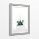 Plantita | Cuadro decorativo de Canvas Lab