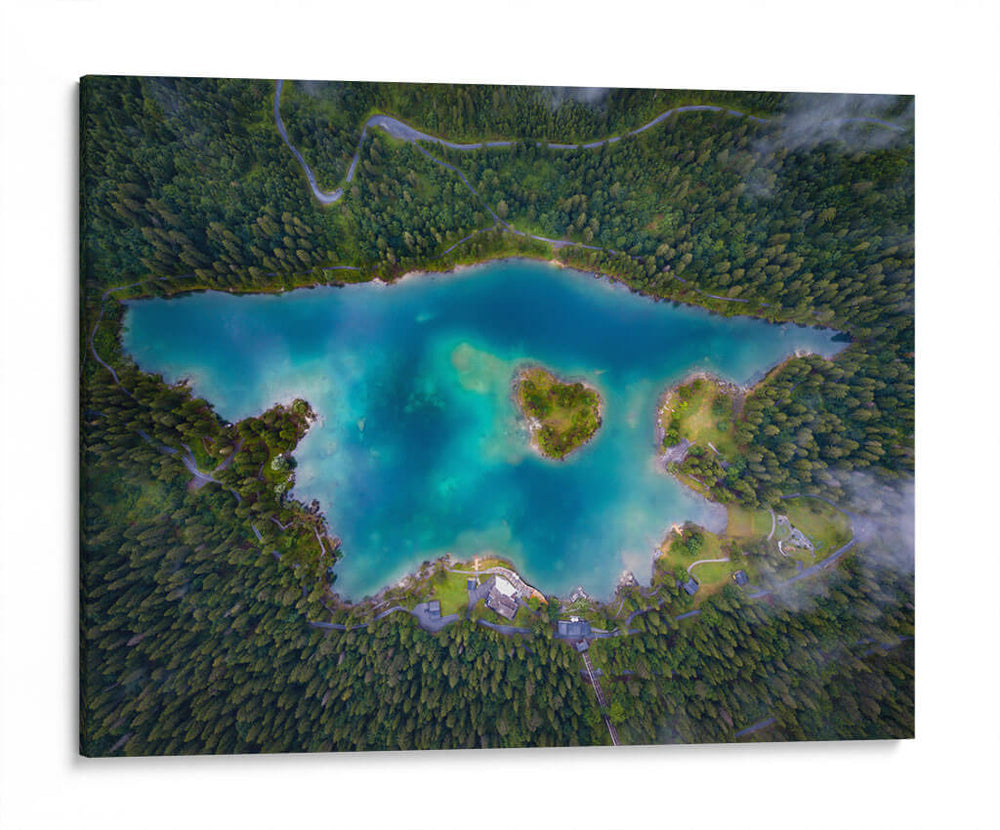 Lago rodeado por pinos | Cuadro decorativo de Canvas Lab