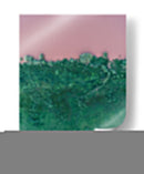 Laguna rosa y vegetación | Cuadro decorativo de Canvas Lab