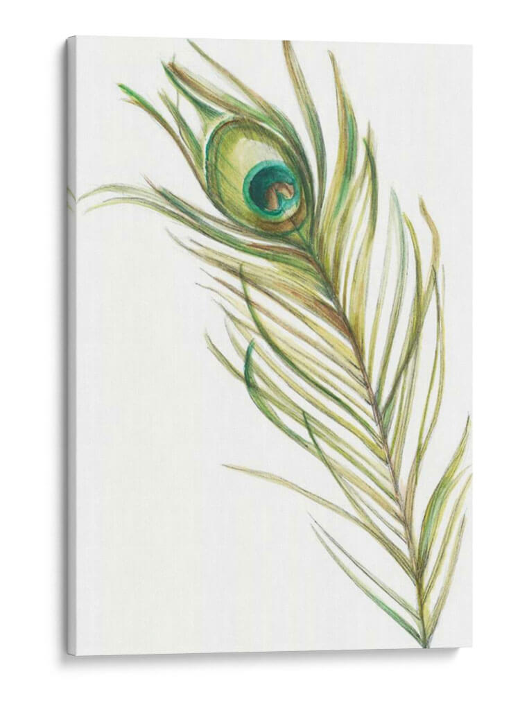 Acuarela Peacock Pluma I - Ethan Harper | Cuadro decorativo de Canvas Lab