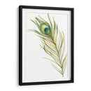 Acuarela Peacock Pluma I - Ethan Harper | Cuadro decorativo de Canvas Lab