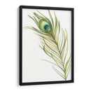 Acuarela Peacock Pluma I - Ethan Harper | Cuadro decorativo de Canvas Lab