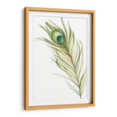Acuarela Peacock Pluma I - Ethan Harper | Cuadro decorativo de Canvas Lab