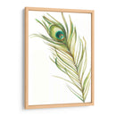 Acuarela Peacock Pluma I - Ethan Harper | Cuadro decorativo de Canvas Lab
