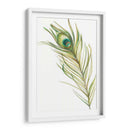 Acuarela Peacock Pluma I - Ethan Harper | Cuadro decorativo de Canvas Lab