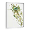 Acuarela Peacock Pluma I - Ethan Harper | Cuadro decorativo de Canvas Lab