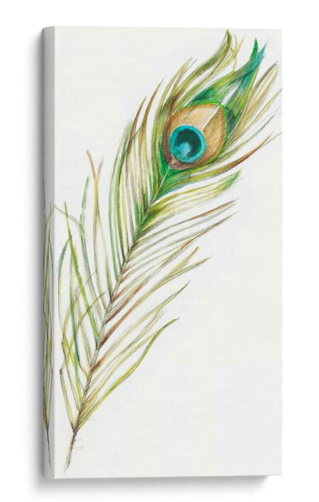 Acuarela Peacock Feather Ii - Ethan Harper | Cuadro decorativo de Canvas Lab