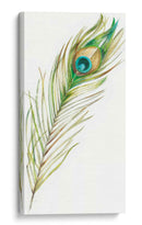 Acuarela Peacock Feather Ii - Ethan Harper | Cuadro decorativo de Canvas Lab