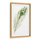 Acuarela Peacock Feather Ii - Ethan Harper | Cuadro decorativo de Canvas Lab