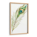 Acuarela Peacock Feather Ii - Ethan Harper | Cuadro decorativo de Canvas Lab