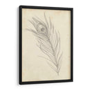 Bosquejo De Plumas De Pavo Real I - Ethan Harper | Cuadro decorativo de Canvas Lab