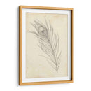 Bosquejo De Plumas De Pavo Real I - Ethan Harper | Cuadro decorativo de Canvas Lab