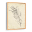 Bosquejo De Plumas De Pavo Real I - Ethan Harper | Cuadro decorativo de Canvas Lab