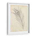 Bosquejo De Plumas De Pavo Real I - Ethan Harper | Cuadro decorativo de Canvas Lab