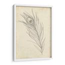 Bosquejo De Plumas De Pavo Real I - Ethan Harper | Cuadro decorativo de Canvas Lab